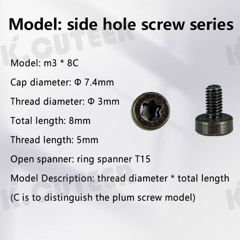 TURNING TOOL SCREW